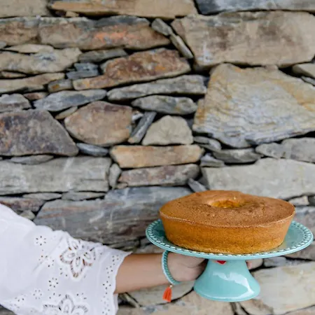 Terrasense Mountain Charm Retreat & Farm Videmonte