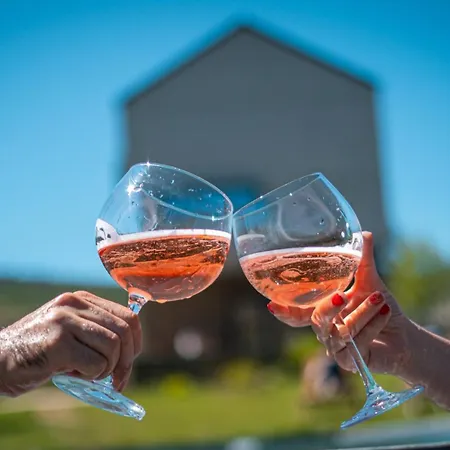 Terrasense Mountain Charm Retreat & Farm