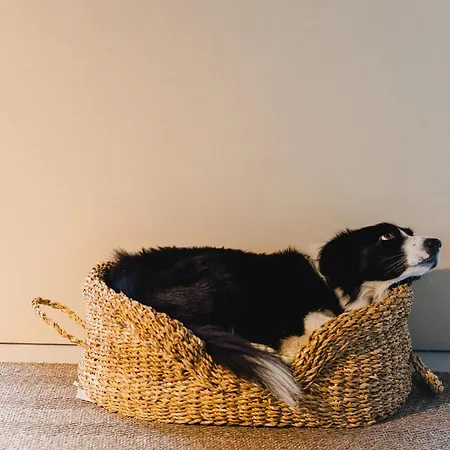 Terrasense Mountain Charm Retreat & Farm Lejlighed *