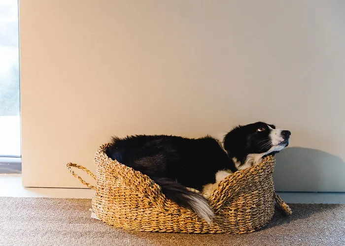 Terrasense Mountain Charm Retreat & Farm 아파트 *