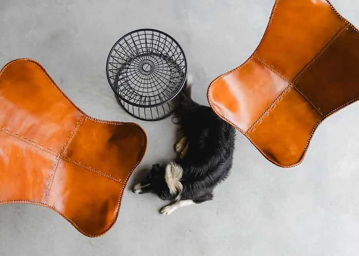 Terrasense Mountain Charm Retreat & Farm Appartamento *